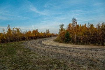 The side of the country road was covered with small deciduous forest