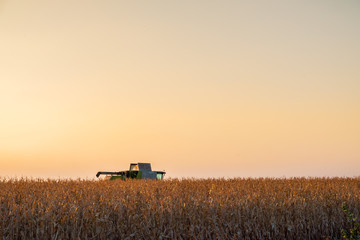 Combine harvester machine in corn field at sunset. Multi purpose thresher tracktor gathering crop...