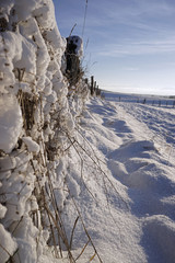 Schnee im Voralpenland, der erste Schnee verhüllt die Hügel im 5 Seenland