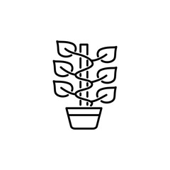 Black & white vector illustration of climbing plant with leaves & stick cane in pot. Line icon of decorative climber home plant in container. Isolated on white background.