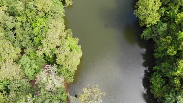 Aerial view of the San Jacinto River, forest, dam and Lake Houston from a drone
