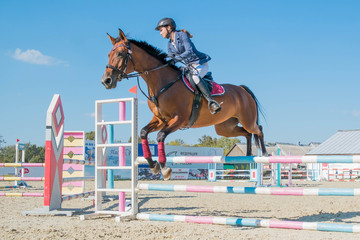 Horse jumping equestrian sport