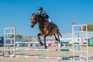 Horse jumping equestrian sport
