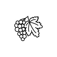 Black & white vector illustration of grape fruit with leaf. Line icon of bunch of grapes. Vegan & vegetarian food. Health eating ingredient. Isolated object