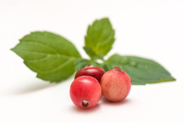 Red berries of cranberries on a background of green leaf