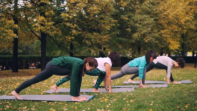 Yoga class is doing stretching exercises in park enjoying autumn nature, fresh air and physical activity. Well-being, recreation and young people concept.
