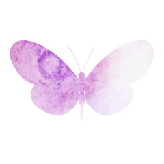 vector, isolated, watercolor silhouette butterfly