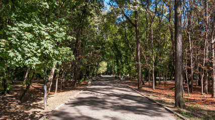 Trees and gardens at South Park in city of Sofia, Bulgaria