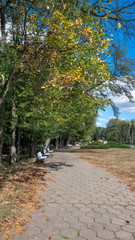 Trees and gardens at South Park in city of Sofia, Bulgaria