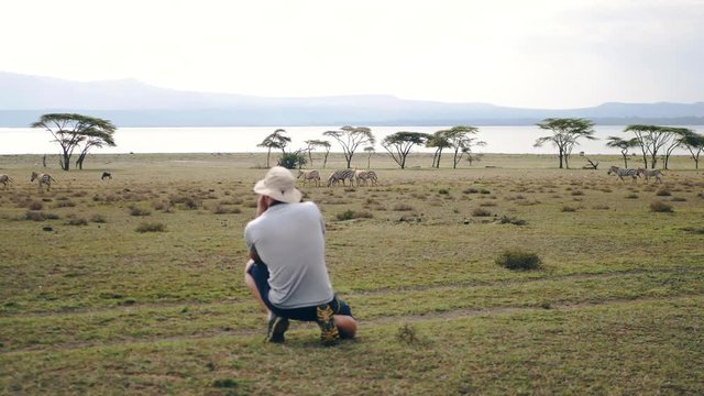 Photographer Takes Pictures On The Camera Of Wild Zebras In The African Reserve