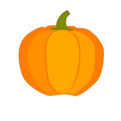 pumpkin art illustration 