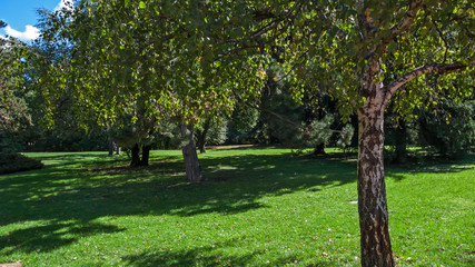 Trees and gardens at South Park in city of Sofia, Bulgaria