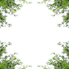 Obraz na płótnie Canvas Pine tree frame with blank space. Christmas border with fir branches isolated on white background.