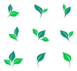 Leaves icon vector set isolated on white background. Various shapes of green leaves of trees and plants. Elements for eco and bio logos.