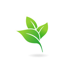 Green Leaf Icon Vector Illustrations. Ecology icon.