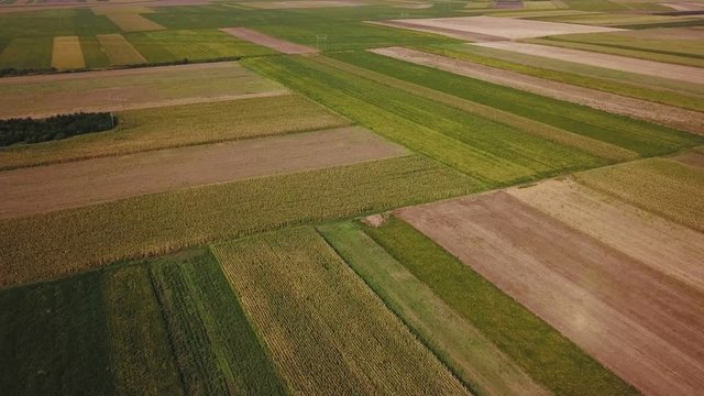 Drone footage of cultivated fields in summer, plain countryside landscape from high angle view