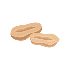 Peeled peanut vector Illustration on a white background