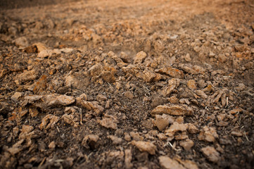 Ground, ground, brown background Organic farming close to nature, the texture of the mud environment on the ground that can grow crops. Agricultural The Farmer's Farmer