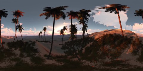vr 360 panorama of palms in desert at sunset. made with the one 360 degree lense