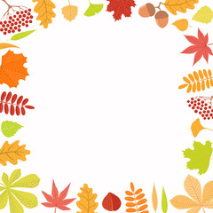 Hand drawn vector illustration with frame of autumn leaves, rowan berries, acorns. Isolated objects on white background. Flat style design. Concept for seasonal banner, poster, card.