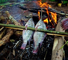 fresh fish grilled over bonfire, local life, Laos