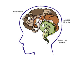 Triune Brain