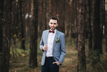 The portrait of attractive groom in a suit and bow tie with boutonniere or buttonhole on jacket, is standing against the background of the forest at nature.