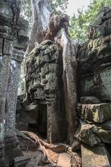 Buddha Temple in the nature of cambodia
