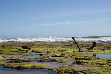 Wreck Beach and Marie Gabrielle Anchor at Great Otway National Park,  Great Ocean Road, Victoria, Australia