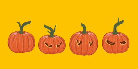 Pumpkin family