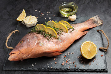 Freshly marinated raw Red snapper fish with lemon slices, garlic and rosemary herbs, on dark...