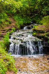 Forest stream "Gremuchiy ruchey" - Natural landmark in Zhukovsky district, Kaluzhskoy region, Russia