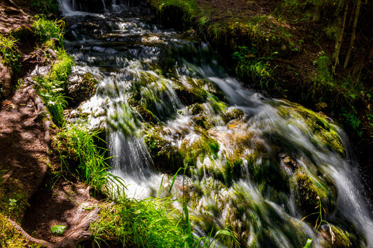 Forest stream, fast water flow
