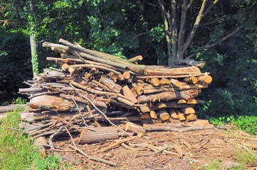 Pile of tree trunks cut in natural environment.