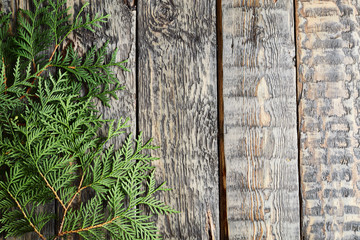 Fototapeta premium rough wooden board background with spruce branches