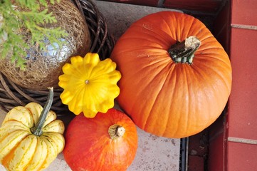 Gelbe und orange Kürbisse / Herbstdekoration