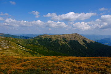 Obraz na płótnie Canvas beautiful mountain landscape, Mount Smotrich, summer Carpathians