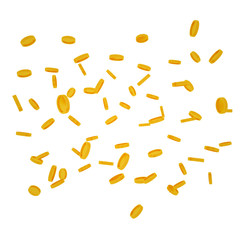 Gold coins on a white background