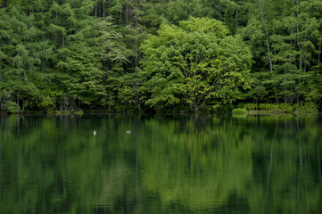 Obraz premium Yusheluchi