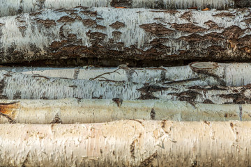 Timmerhög med stockar av björk