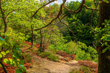 Utsiktsplats över sprickdal i en nationalpark