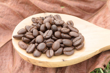 Black coffee bean in ladle, dry leaf have coffee bean,