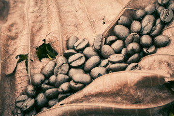 coffee bean on dry leaf, coffee image vintage,