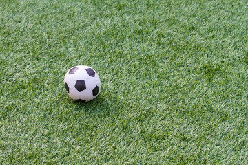 Football on the green grass