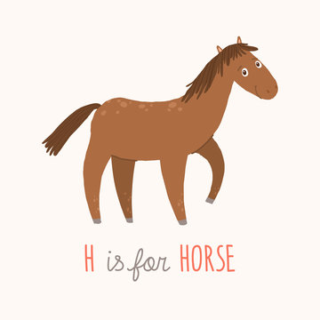 Cartoon brown horse. H is for Horse. Cartoon vector hand drawn eps 10 childrens illustration isolated on white background.