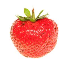 One ripe strawberry on a white background