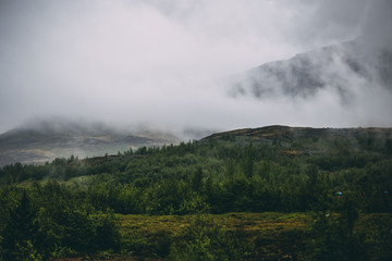 Foggy mountain forest in Iceland