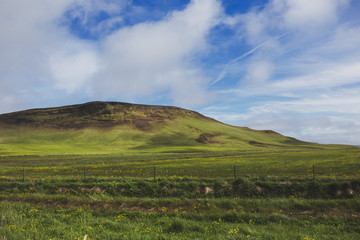 Fototapeta premium Green hill in Iceland on a sunny day