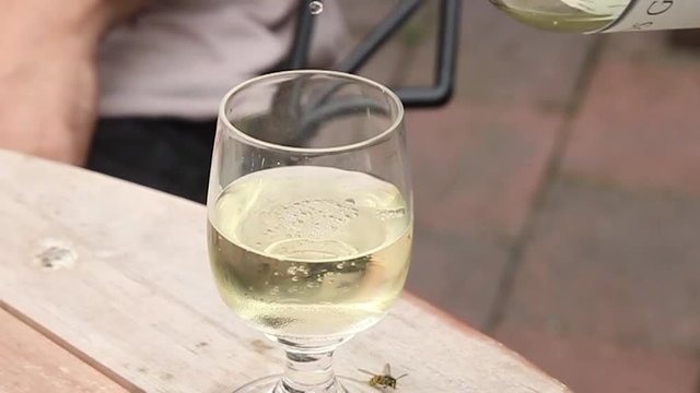 Pouring white wine in slow motion