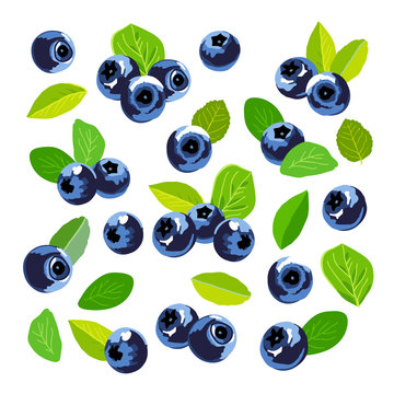 Set of blueberry icons. Elements for design.